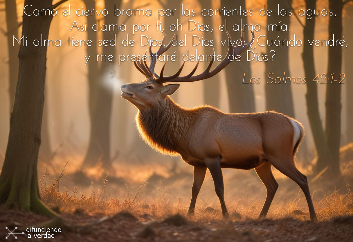 Como el siervo brama...